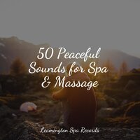 Gentle Sleep Music - Sounds Of Nature Relaxation, Nature Noise, Rainforest