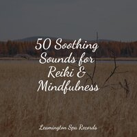 Heaven on the Keys - Shakuhachi Sakano, Meditation Music Club, Ambientalism