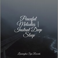 Gentle Sleep Music - Wellness, Nature Soundscape, Unforgettable Paradise SPA Music Academy