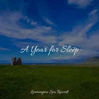 Heaven on the Keys - Binaural Creations, Sleep Tight, Academia de Música para Massagem e Relaxamento