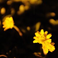 мокрый снег - макулатура