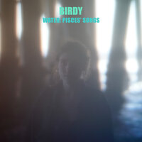 Just Like A River Does - Birdy
