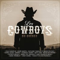 Je m'envolerai - Daniel Lavoie