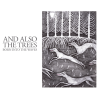 Bridges - And Also the Trees