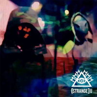 The Cake is a Lie - Strange U