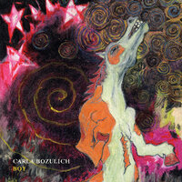 Don't Follow Me - Carla Bozulich