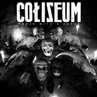 Man Was Never Meant to Fly - Coliseum