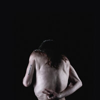 Dynasti - JJ