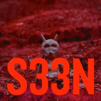 S33N - Nikka, D33p