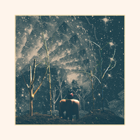 Cold - Nick Hakim