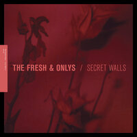Do You Believe in Destiny? - The Fresh & Onlys