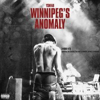 Get Rich or Die Tryin - YSN Fab