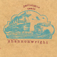 I Started a Joke - Shannon Wright