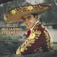 Mitad Tú, Mitad Yo - Alejandro Fernandez