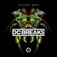 Time to Kill - Dc Breaks, Diane Birch