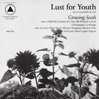 Neon Lights Appear - Lust For Youth