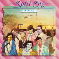 Matinee Idyll - Split Enz