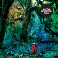 Jacco Gardner