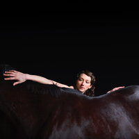 We Were Sparkling - My Brightest Diamond