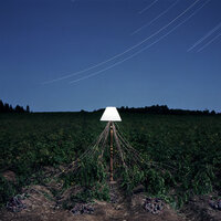 Backbone - Beacon