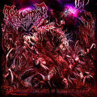 Disintegration in Suffering - Traumatomy