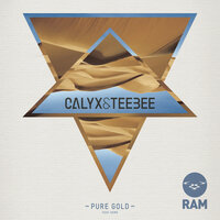 Pure Gold - Calyx & TeeBee, Kemo, Wilkinson