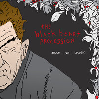 A Cry for Love - The Black Heart Procession
