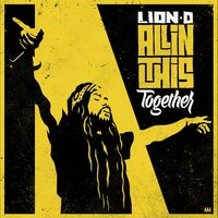 Lion D