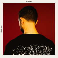 Sea Change - Mattie Safer