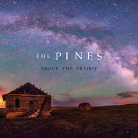Where Something Wild Still Grows - The Pines