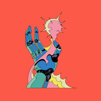 Midnight Generation