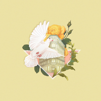 No More, No Less - William Ryan Key