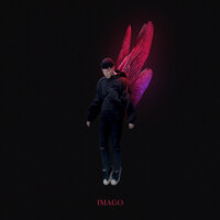 Imago - КУОК