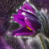 Sleeper Showers - Relaxing Mindfulness Meditation Relaxation Maestro, White Noise for Baby Sleep, Relajante