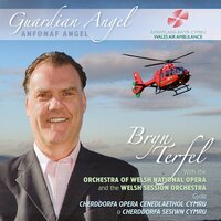 Bread of Heaven (Cwm Rhondda) - Bryn Terfel