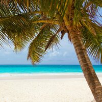 Siesta Sessions - Spiritual Fitness Music, Sounds of Nature Relaxation, Spa & Spa, Spa & Spa, Sounds Of Nature Relaxation