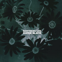 If I Knew - Northern Lite