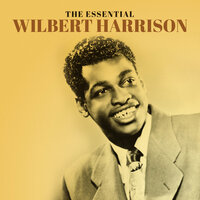(This Will Have to Do) Until the Real Thing Comes Along - Wilbert Harrison