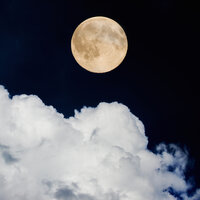 Spiritual Pulse - White Noise Nature Sounds Baby Sleep, Restaurant Music Academy, Musica para Estudiar
