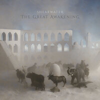 Highgate - Shearwater