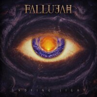 Distant and Cold - Fallujah