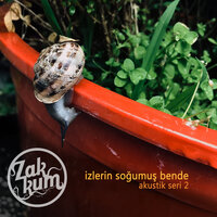 Kalbin Delikti - Zakkum
