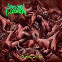 Rape Lobotomy - Parasitic Ejaculation