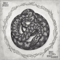 Become The Ground - Wolf People