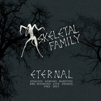 What Goes Up - Skeletal Family
