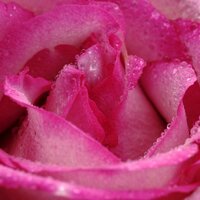 Feather's Raindrop Journey - Meditation Rain Sounds, The Sleep Specialist, Rain Spa, The Sleep Specialist, Meditation Rain Sounds