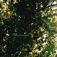 The Trees And Lanes - Epic45