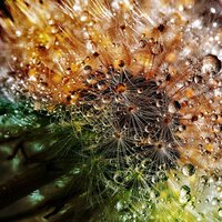 Flux and Flow - Mindfulness Meditation Music Spa Maestro, Relaxing Rain Sounds, Entspannungsmusik