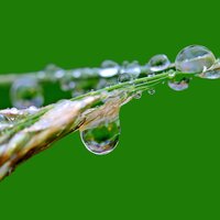 Drizzle Ease - Sounds of Nature White Noise Sound Effects, Nature Sounds Nature Music, Sounds of Nature White Noise for Mindfulness Meditation and Relaxation