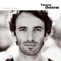 Sous les avalanches - Vincent Delerm